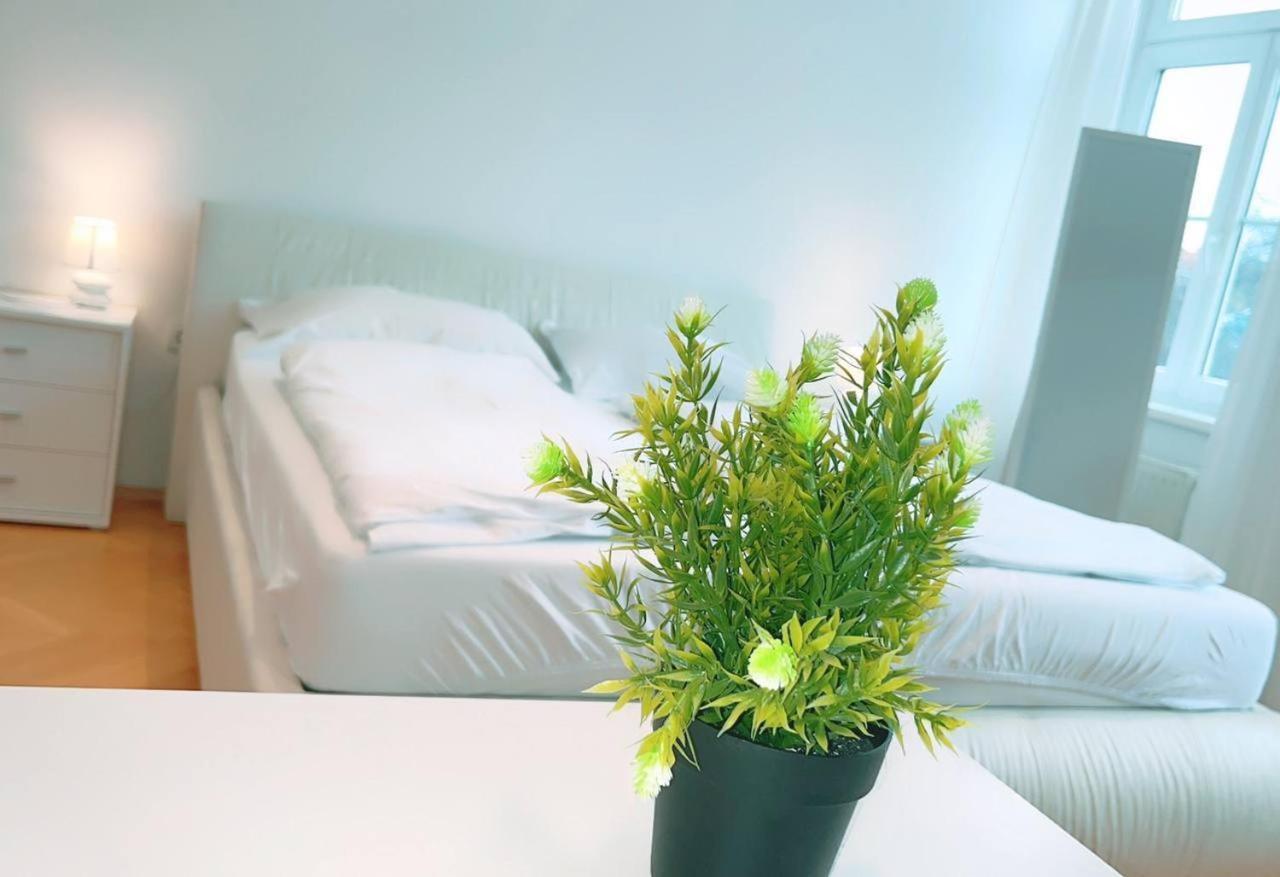 Deluxe Double Room Kp Wien Eksteriør billede